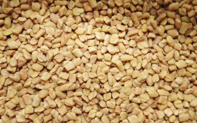 Comment consommer le fenugrec en graines ? Voici nos meilleures astuces