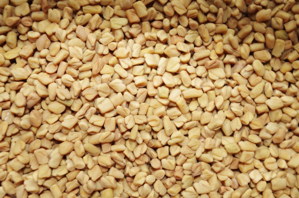 Comment consommer le fenugrec en graines ? Voici nos meilleures astuces